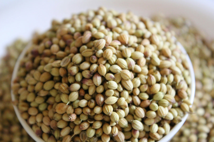 Coriander Seeds in Ayurveda: Cooking Uses, Dosha Tips, and Recipes