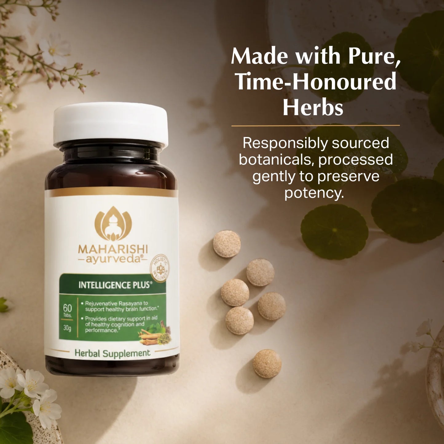 Intelligence Plus®