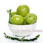 Ayurvedic Herbs and Tips for Menopause