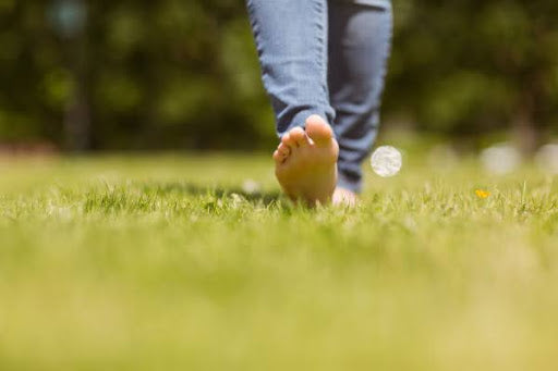 Earth Day and Beyond: How I Stay Grounded with Ayurveda