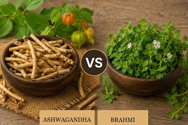 Ashwagandha vs Brahmi: Which Ayurvedic Herb Fits Your Wellness Routine?