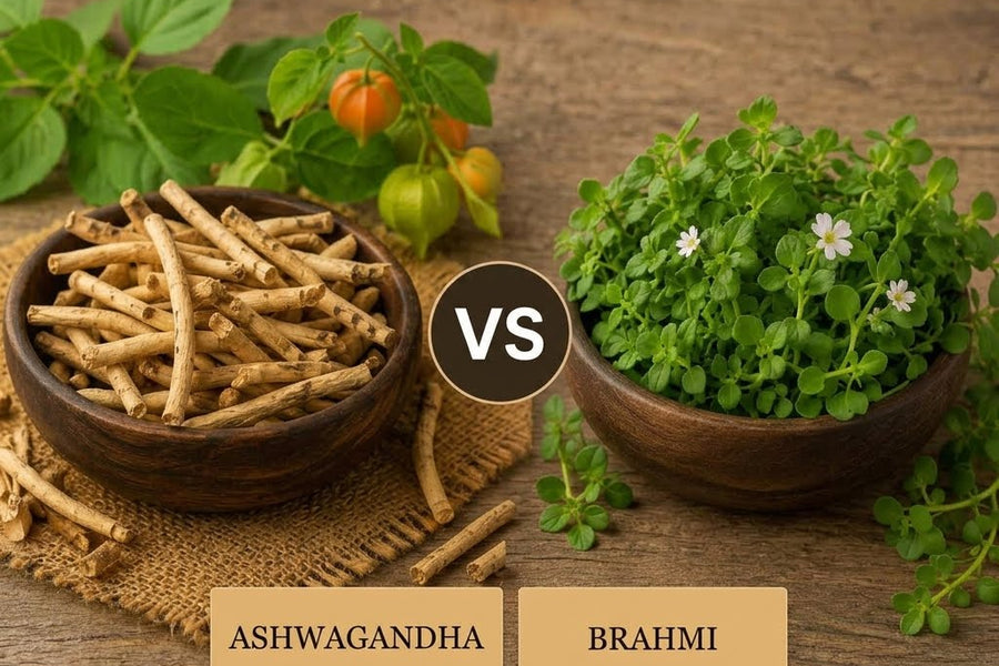 Ashwagandha vs Brahmi: Which Ayurvedic Herb Fits Your Wellness Routine?