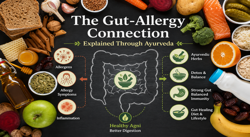 The Gut-Allergy Connection Explained Through Ayurveda