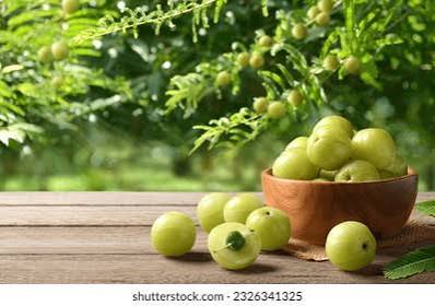Amla Berry: A "Divine" Ayurvedic Supplement (Interview)