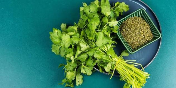 Allergen-Fighters: Cilantro and Coriander