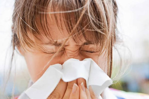 Natural Ayurvedic support for sinus relief and easier breathing.
