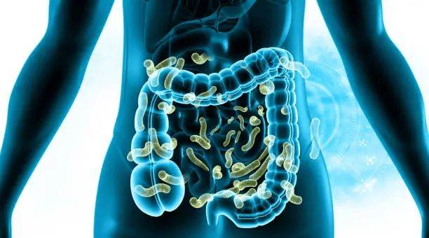 The Gut-Allergy Connection Explained Through Ayurveda