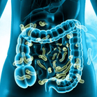 The Gut-Allergy Connection Explained Through Ayurveda