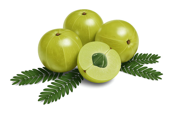 Amla Benefits for Women's Wellness: An Ayurvedic Guide to Everyday Vitality