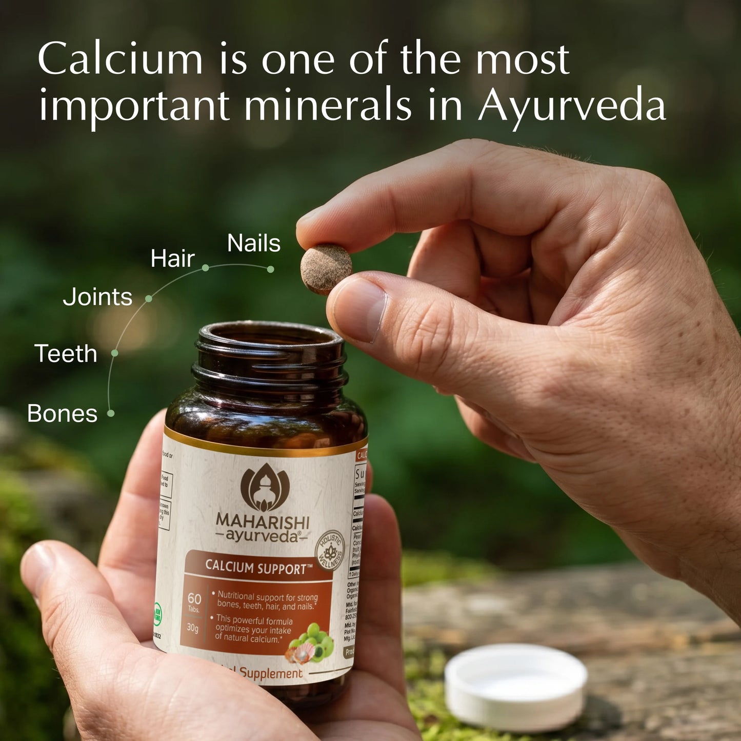Calcium Support