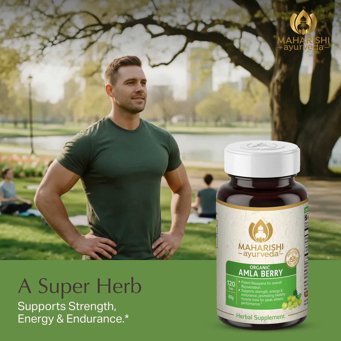 Organic Amla Berry