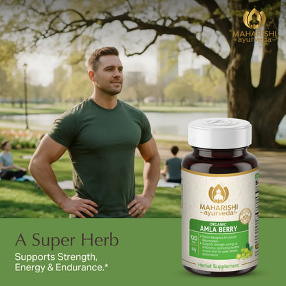 Organic Amla Berry