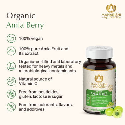 Organic Amla Berry