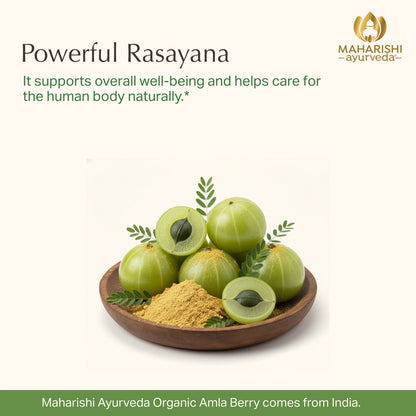 Organic Amla Berry
