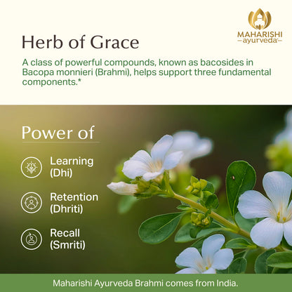 Organic Brahmi (Bacopa)