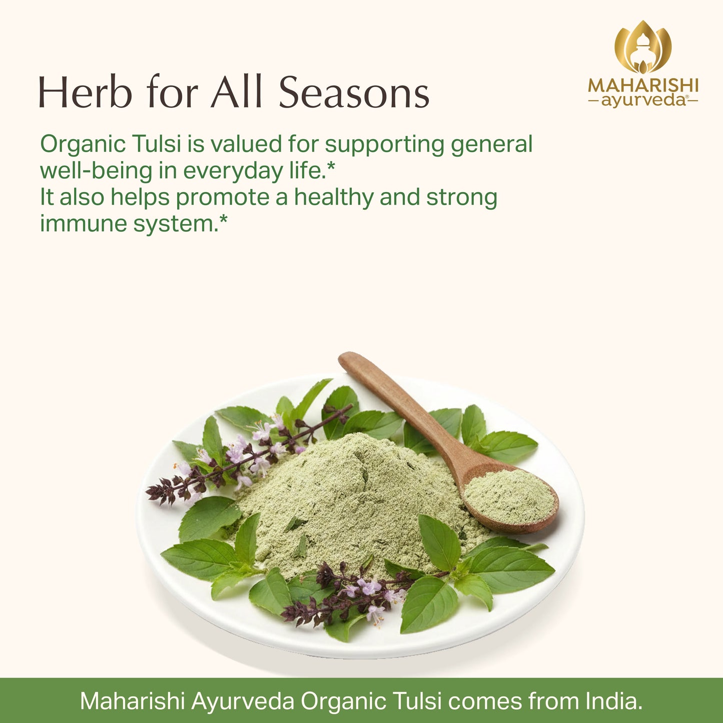 Organic Tulsi