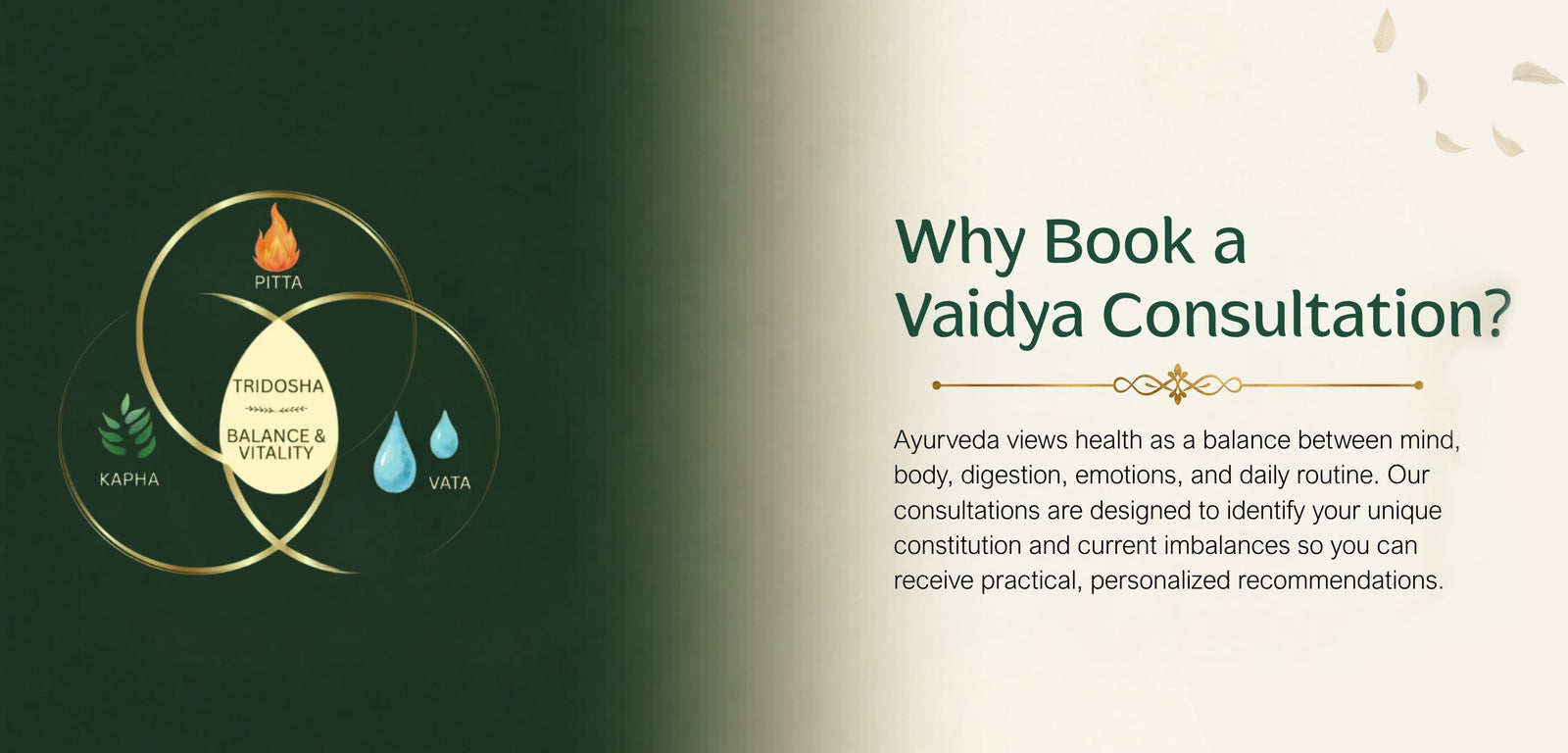 Book a vaidya consultation