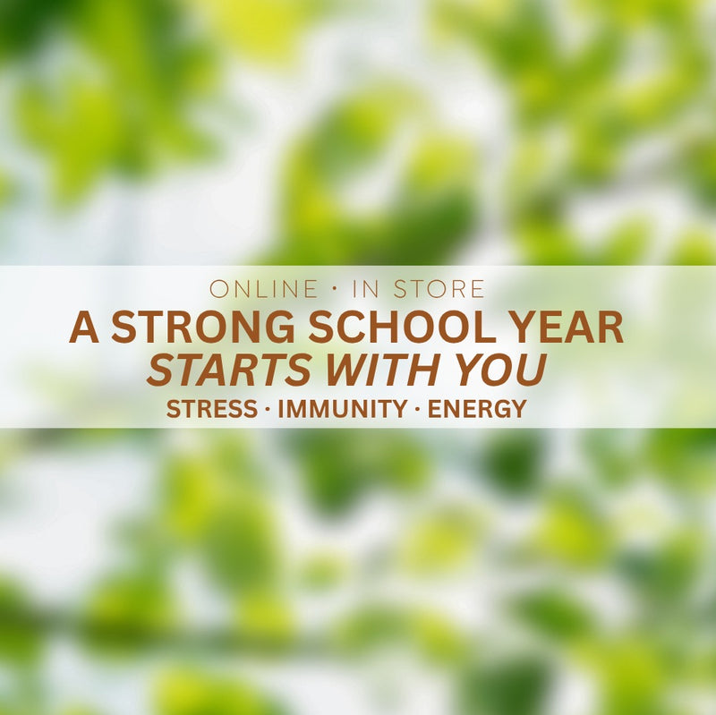 <h2>Feel <strong>Whole Again</strong></h2>