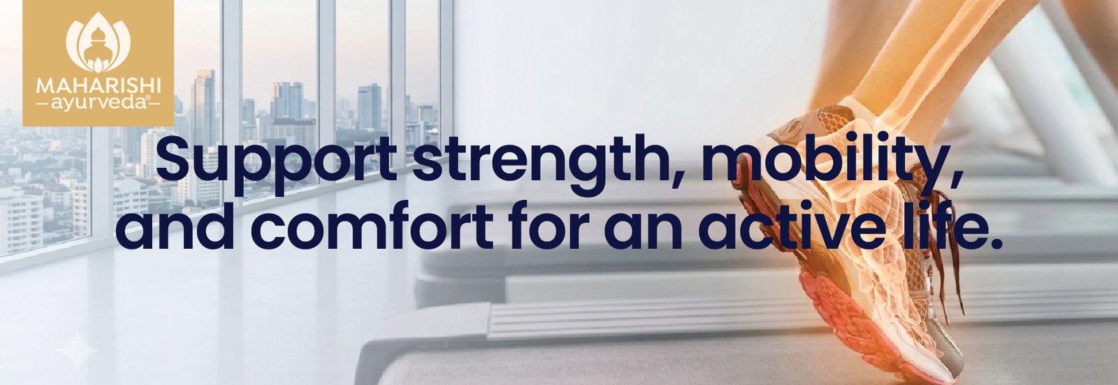 <h2>Feel <strong>Whole Again</strong></h2>