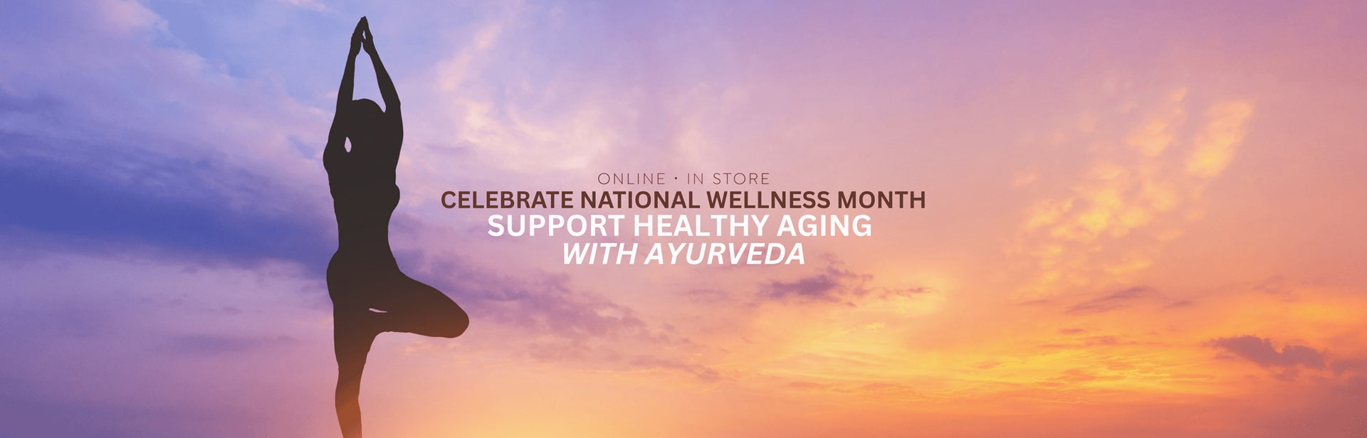 National Wellness Month Banner